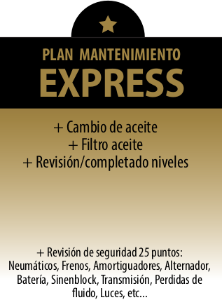 Plan de Mantenimiento Express